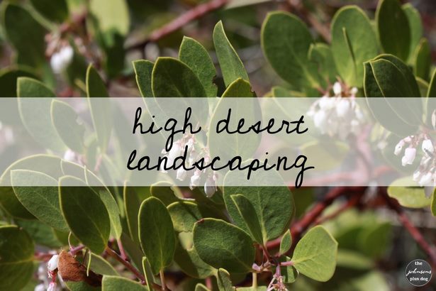 hohe-wuste-landschaftsbau-ideen-73_7 Hohe Wüste Landschaftsbau Ideen