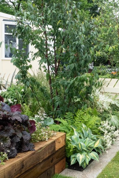 ideen-fur-ihren-garten-68_5 Ideen für Ihren Garten