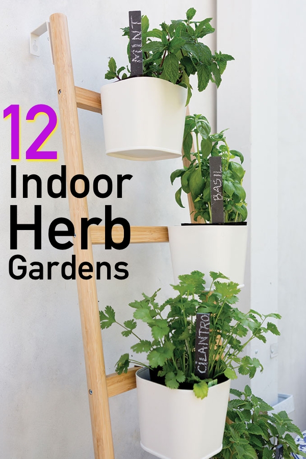 indoor-krautergarten-ideen-13 Indoor Kräutergarten Ideen