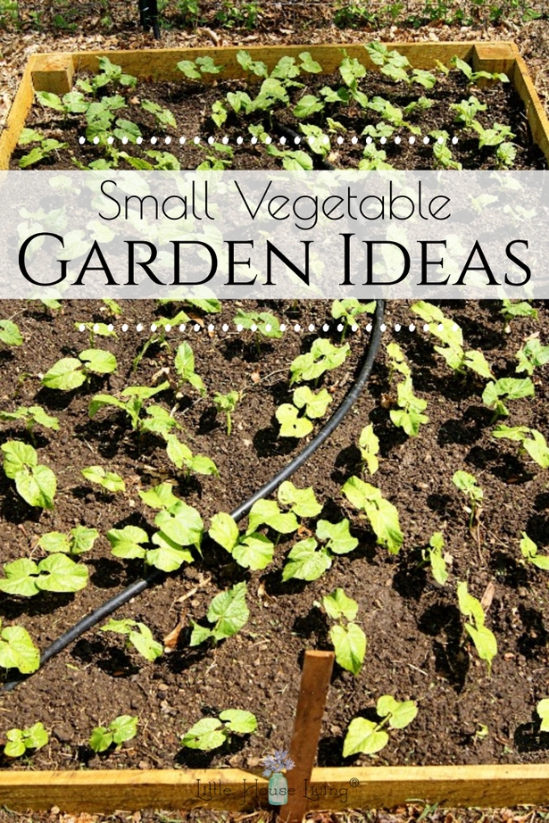 kleine-gemusegarten-ideen-64_7 Kleine Gemüsegarten Ideen