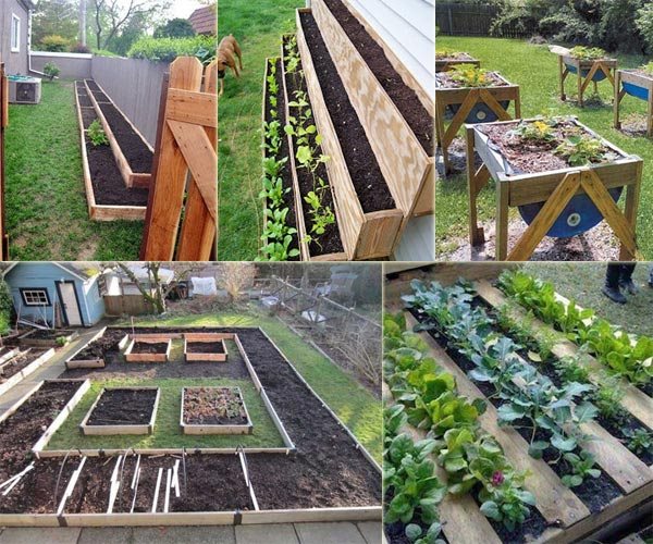 kleine-veggie-garten-ideen-50_5 Kleine veggie-Garten-Ideen