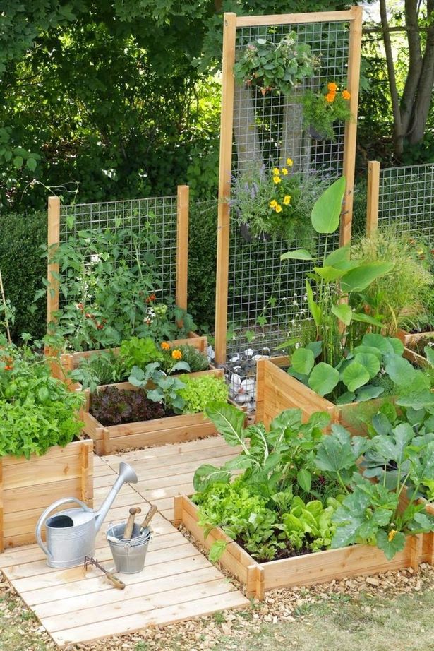 kleine-veggie-garten-ideen-50_8 Kleine veggie-Garten-Ideen
