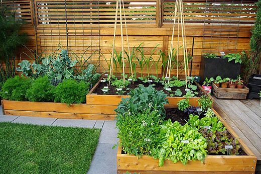kleine-veggie-garten-ideen-50_9 Kleine veggie-Garten-Ideen