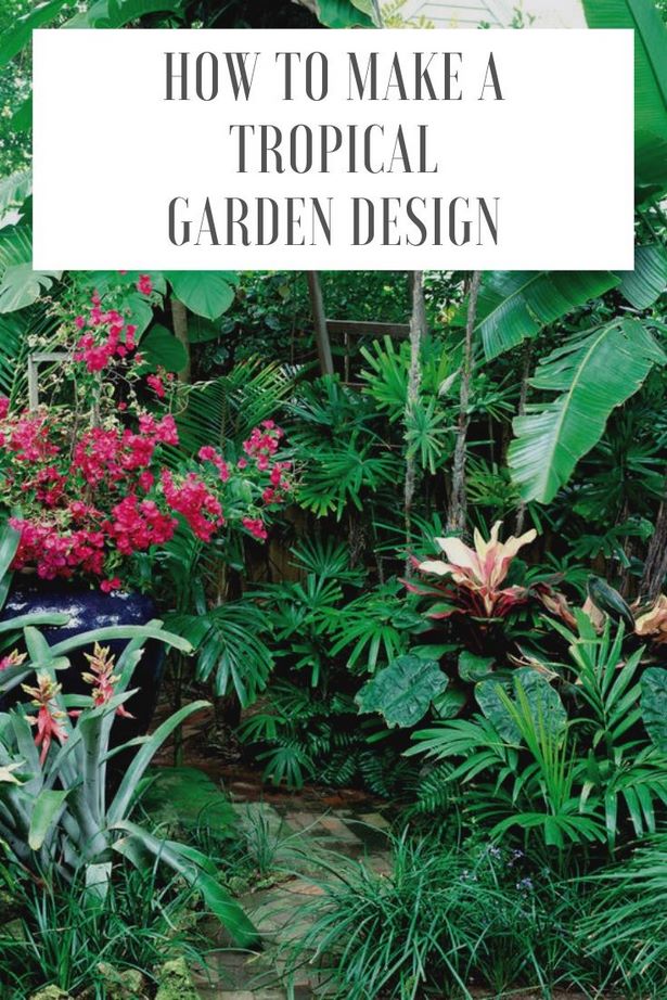 tropische-gartengestaltung-95_16 Tropische Gartengestaltung