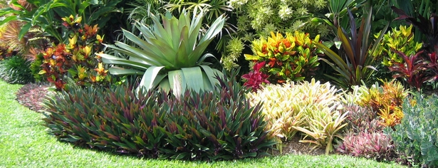tropische-gartengestaltung-95_9 Tropische Gartengestaltung