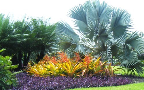 tropischen-garten-design-ideen-59_17 Tropischen Garten design-Ideen