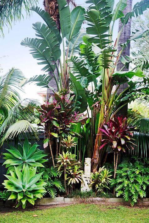 tropischen-garten-design-ideen-59_4 Tropischen Garten design-Ideen