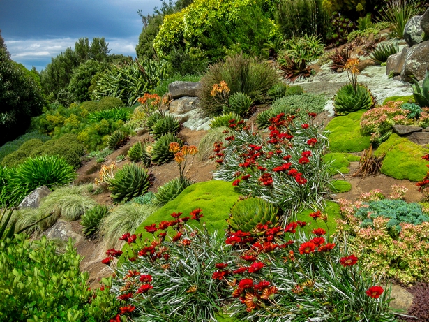 boschung-im-garten-gestalten-15_17 Böschung im garten gestalten