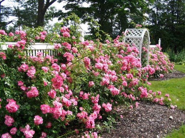 gartengestaltung-rosengarten-45_6 Gartengestaltung rosengarten