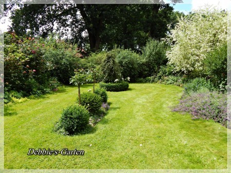 Inselbeete im garten