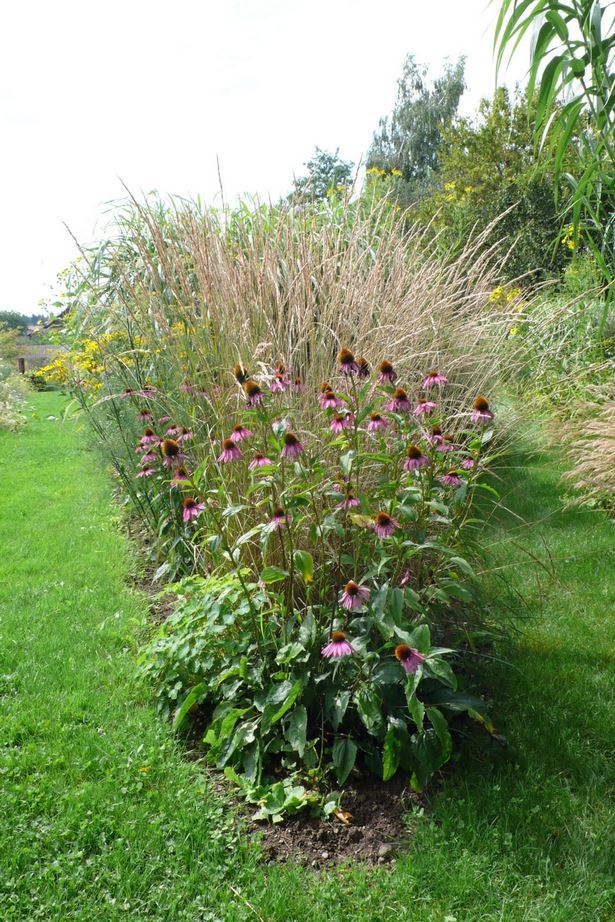 Inselbeete im garten