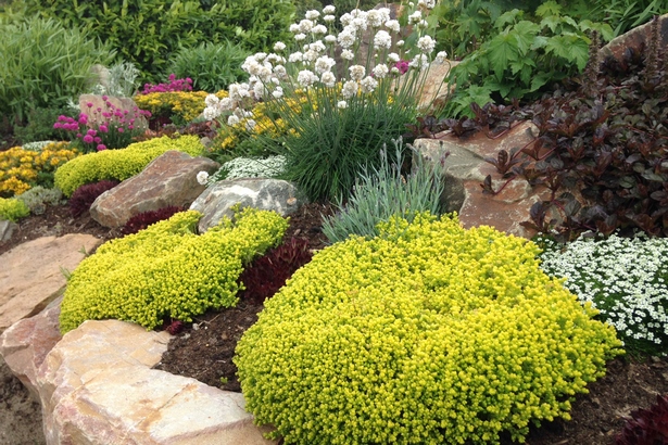 Niedrige staudenbeete