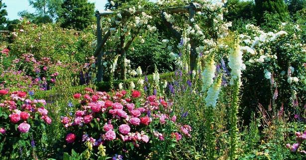 die-besten-englischen-garten-68 Die besten englischen Gärten