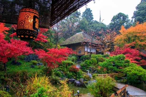 garten-im-japanischen-stil-84_13 Garten im japanischen Stil