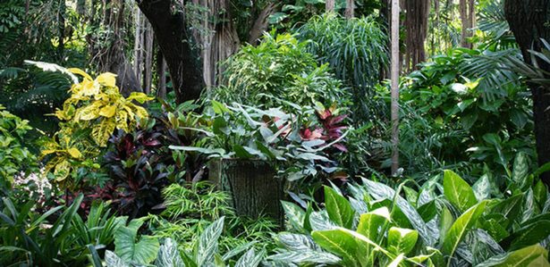 garten-mit-tropischen-pflanzen-76_4 Garten mit tropischen Pflanzen