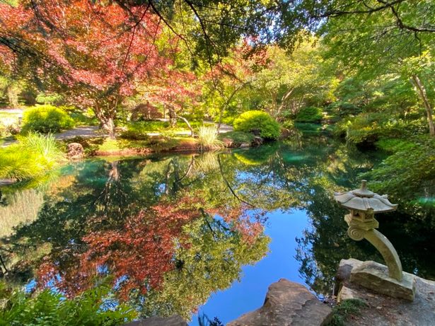 japanische-garten-bilder-63 Japanische Gärten Bilder