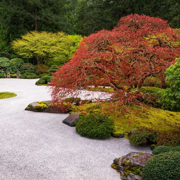 japanische-garten-bilder-63 Japanische Gärten Bilder
