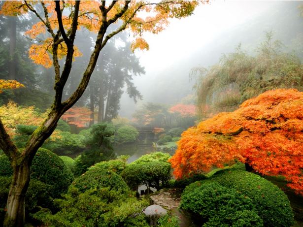 japanische-garten-bilder-63_3 Japanische Gärten Bilder