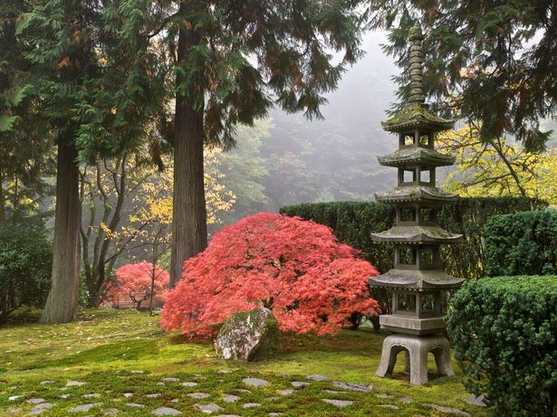 japanische-garten-bilder-63_8 Japanische Gärten Bilder