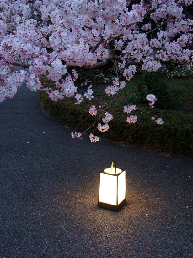 japanische-gartenlampe-86_14 Japanische Gartenlampe