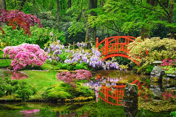 japanischer-blumengarten-51_18 Japanischer Blumengarten