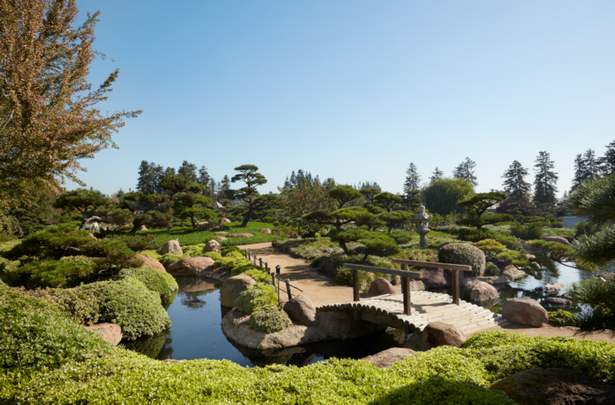 japanischer-garten-91 Japanischer Garten