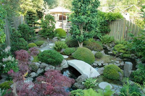 pflanzen-fur-den-japanischen-garten-50_5 Pflanzen für den japanischen Garten