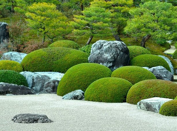 pflanzen-fur-einen-japanischen-garten-27_5 Pflanzen für einen japanischen Garten