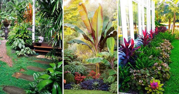 tropische-gartengestaltung-79_4 Tropische Gartengestaltung