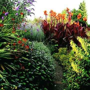 tropischer-blumengarten-25_7 Tropischer Blumengarten
