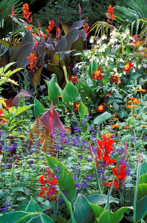 tropischer-blumengarten-25_9 Tropischer Blumengarten
