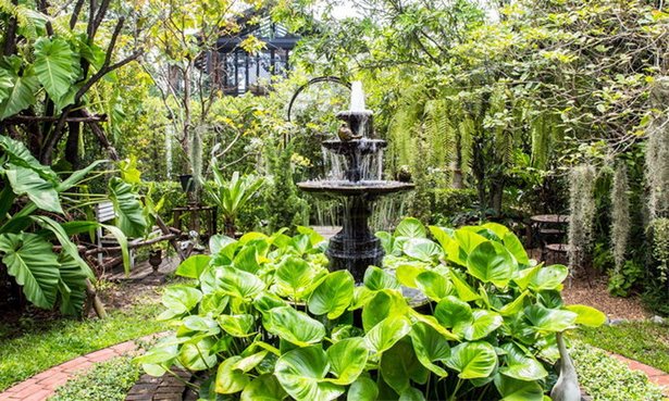 tropischer-garten-bilder-35_6 Tropischer Garten Bilder