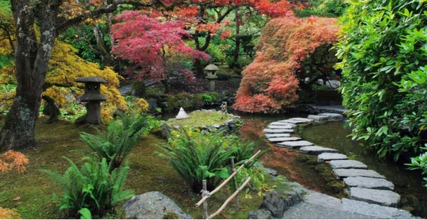 wie-man-einen-japanischen-garten-baut-81_11 Wie man einen japanischen Garten baut