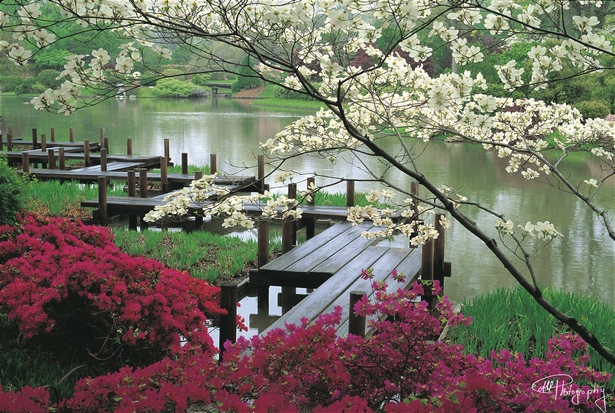 wunderschone-japanische-garten-85_15 Wunderschöne japanische Gärten