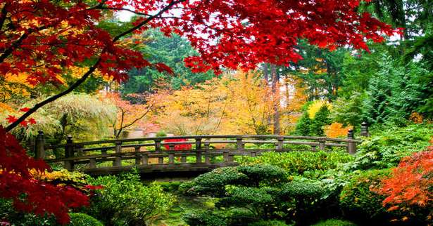 wunderschone-japanische-garten-85_16 Wunderschöne japanische Gärten