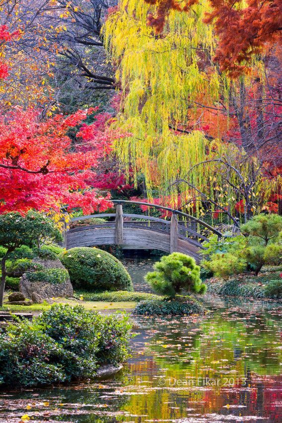 wunderschone-japanische-garten-85_8 Wunderschöne japanische Gärten