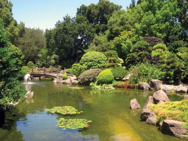 arten-von-japanischen-garten-18-2 Arten von japanischen Gärten