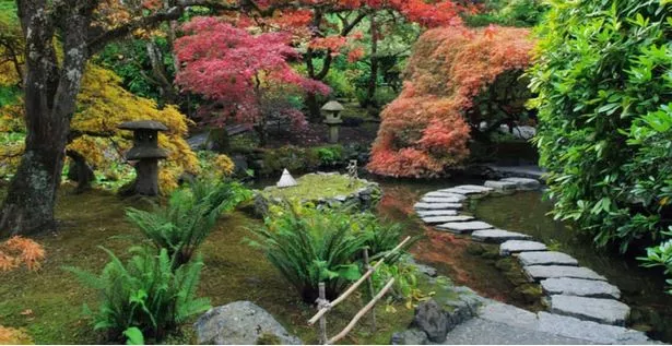 baue-deinen-eigenen-japanischen-garten-37_6-13 Baue deinen eigenen japanischen Garten