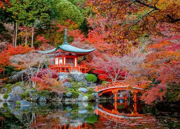 bilder-japanische-garten-37-1 Bilder japanische Gärten