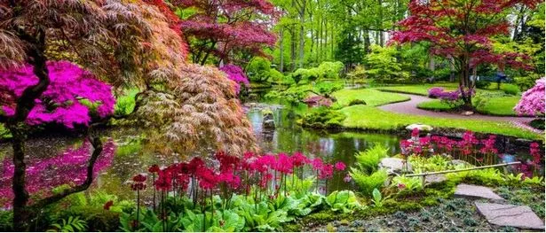 die-besten-pflanzen-fur-den-japanischen-garten-39_5-15 Die besten Pflanzen für den japanischen Garten