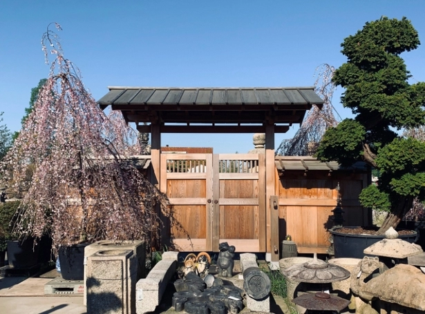 eingang-zum-japanischen-garten-54_8-9 Eingang zum japanischen Garten