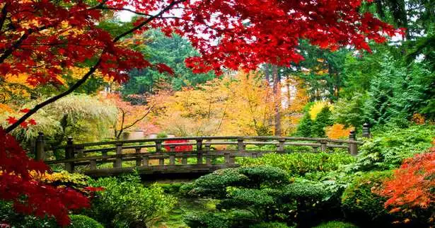 erstaunliche-japanische-garten-46_4-14 Erstaunliche japanische Gärten