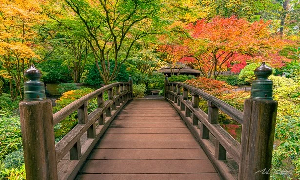 gartenbrucken-im-japanischen-stil-83_9-18 Gartenbrücken im japanischen Stil