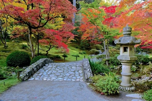 japanische-garten-bilder-86-1 Japanische Gärten Bilder