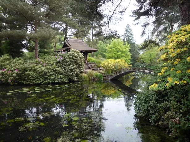japanische-garten-in-england-03_2-11 Japanische Gärten in England