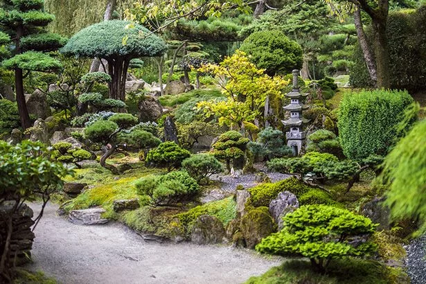 japanische-garten-in-grossbritannien-12_11-4 Japanische Gärten in Großbritannien