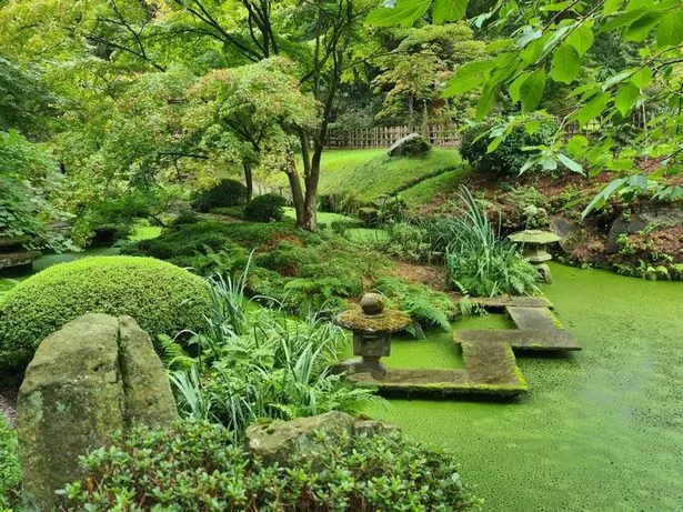 japanische-garten-in-grossbritannien-12_15-8 Japanische Gärten in Großbritannien