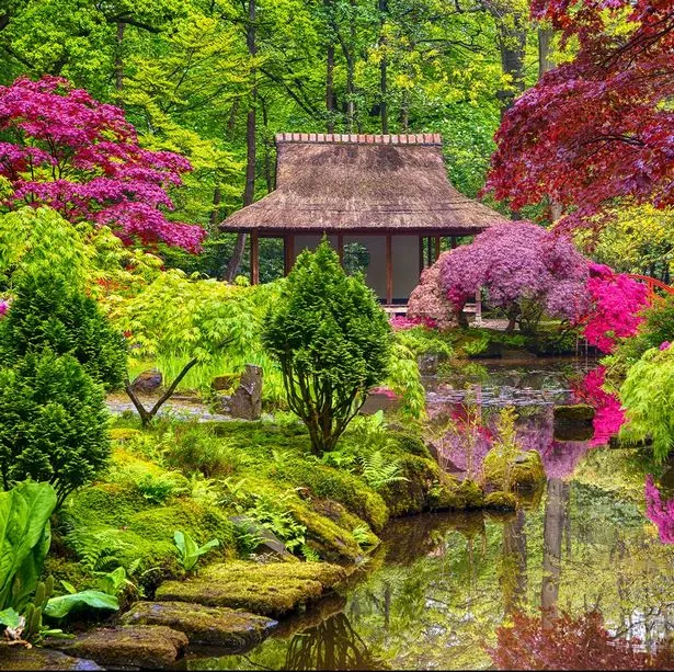 japanische-garten-in-grossbritannien-12_5-16 Japanische Gärten in Großbritannien