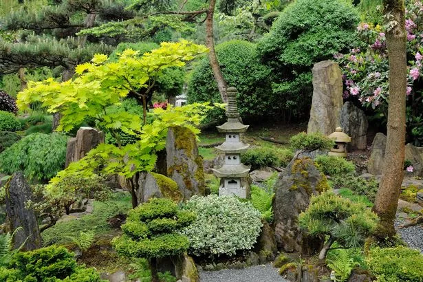 japanische-steingartenpflanzen-10_13-6 Japanische Steingartenpflanzen