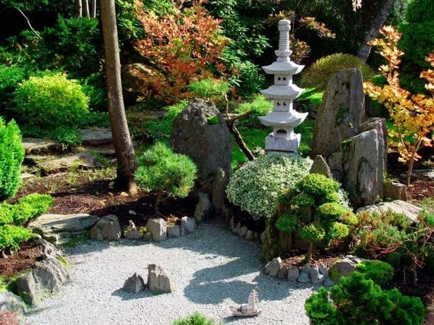 japanische-steingartenpflanzen-10_4-14 Japanische Steingartenpflanzen